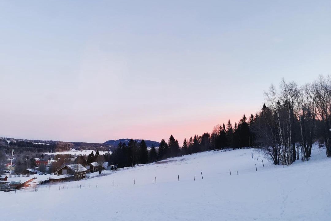 Photo of Others in Svenstavik