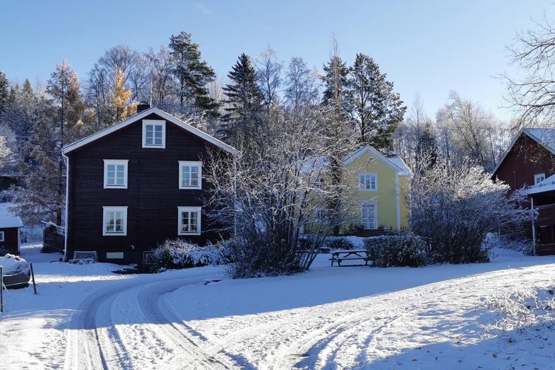 Photo of Others in Svenstavik