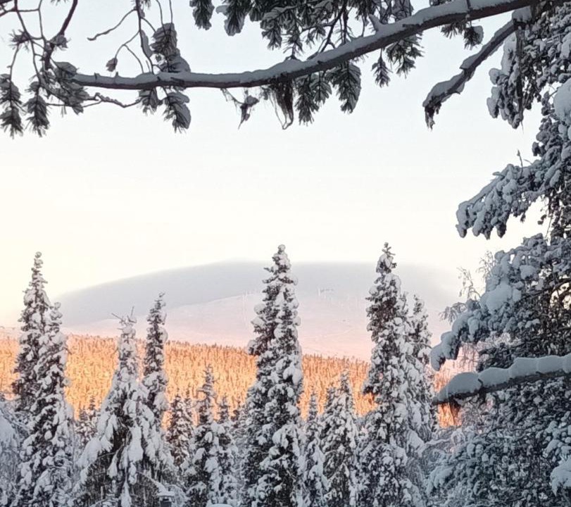 Photo of Others in Yllasjarvi