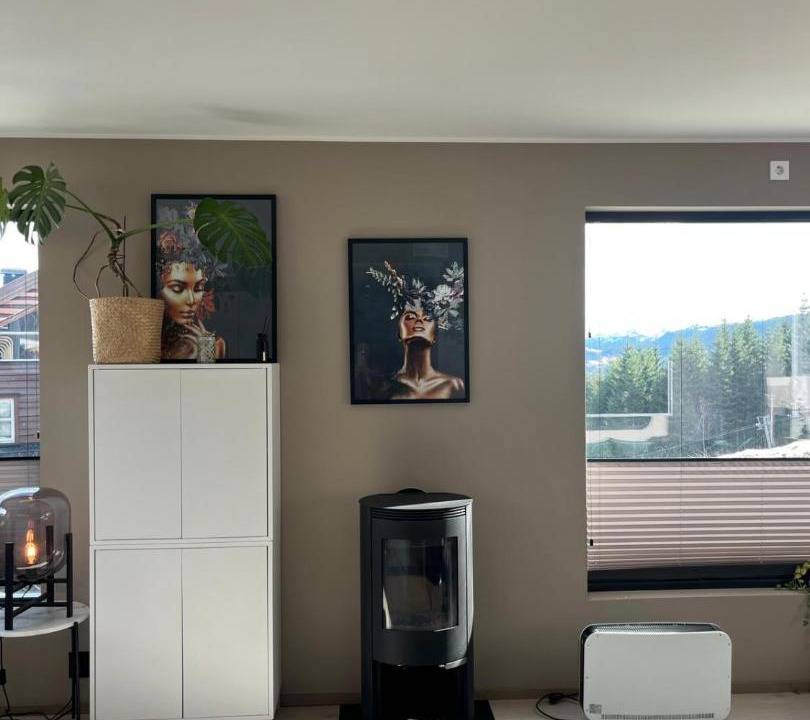 Photo of Others in Skulestad