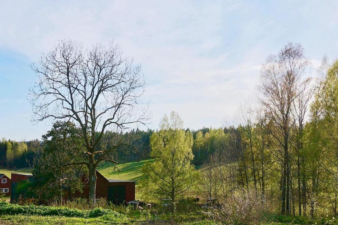 Photo of Others in Fengersfors