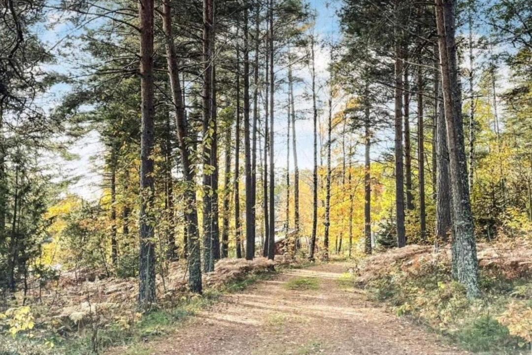 Photo of Others in Fengersfors