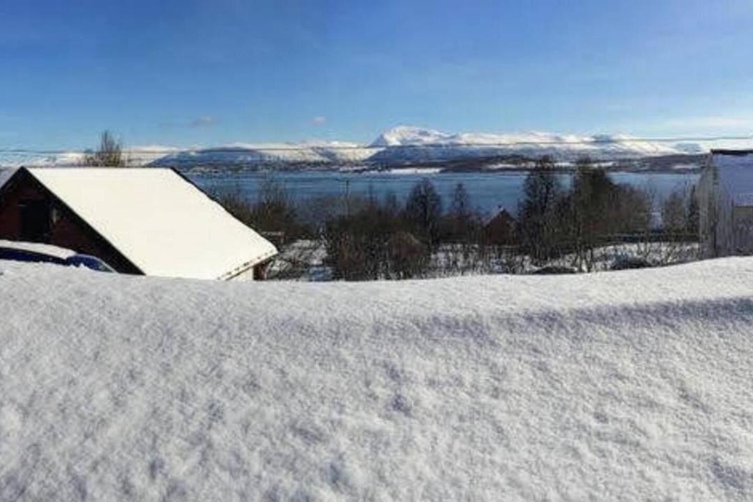 Photo of Others in Tromso