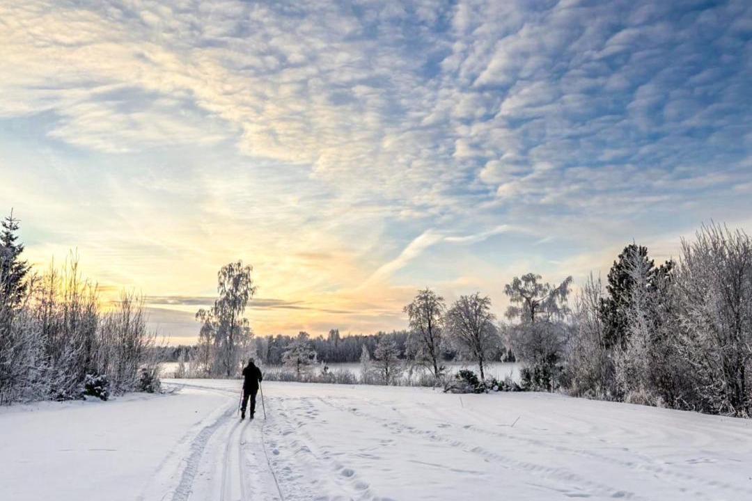 Photo of Others in Iltasmaki