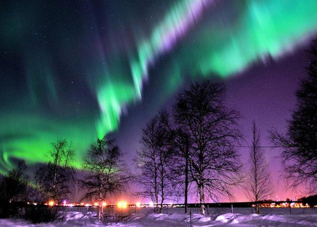 Photo of Others in Lulea