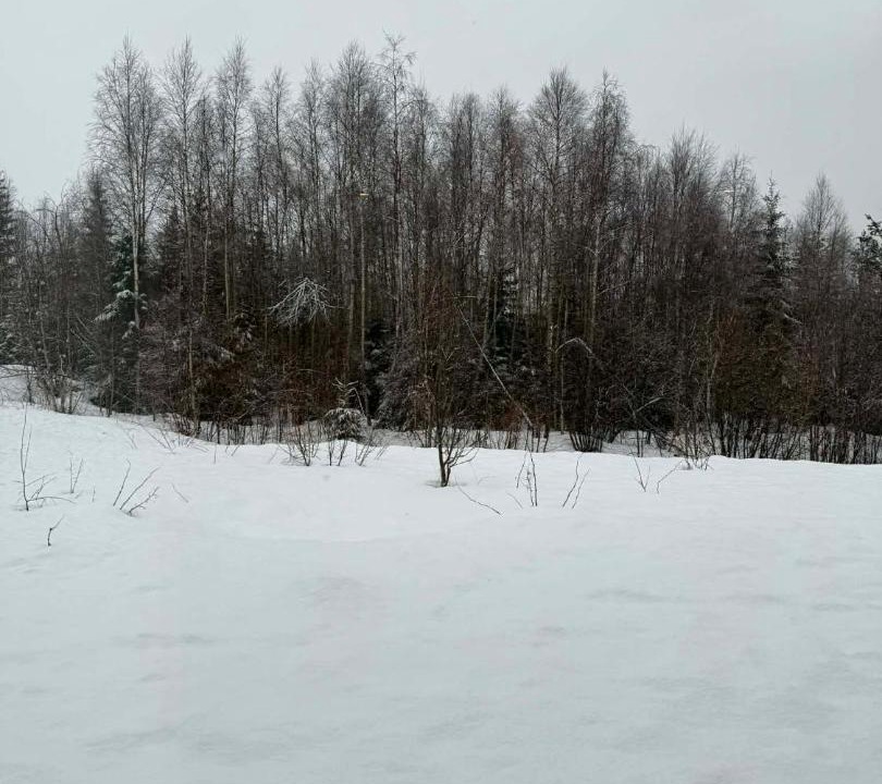 Photo of Others in Trysil