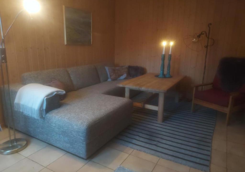 Photo of Livingroom in Fagernes