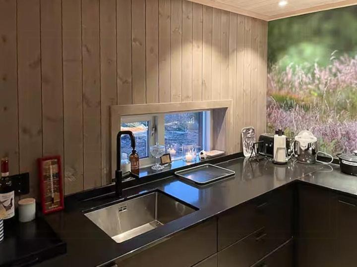 Photo of Kitchen in Lunner