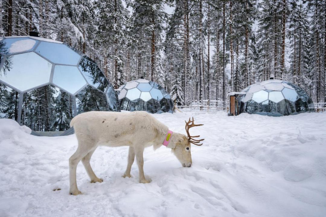 Photo of Others in Kalix