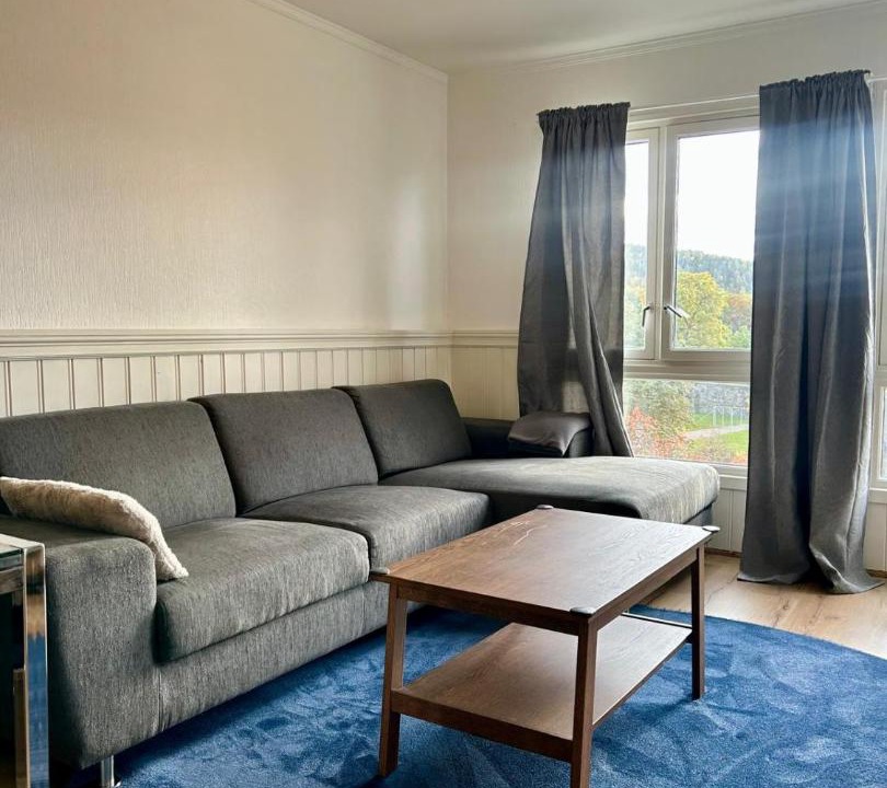 Photo of Livingroom in Toyen