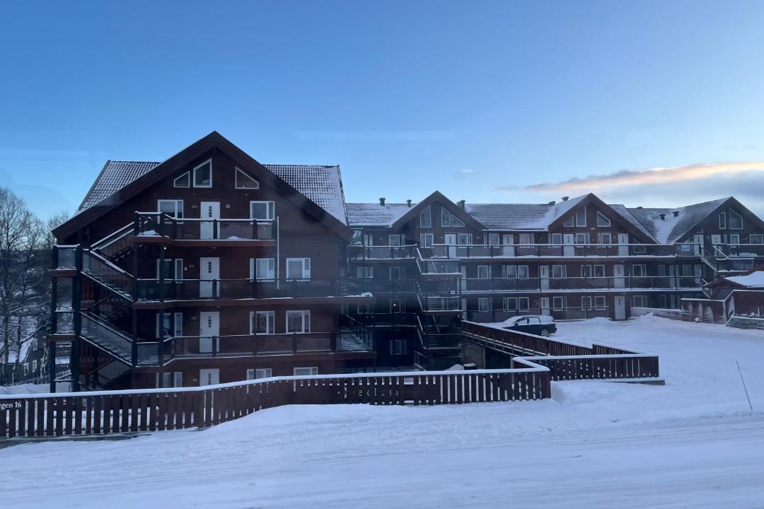 Photo of Others in Geilo