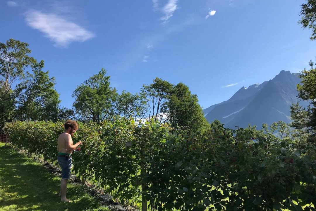 Photo of Others in Sykkylven