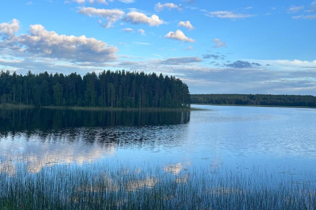 Photo of Others in Jorn
