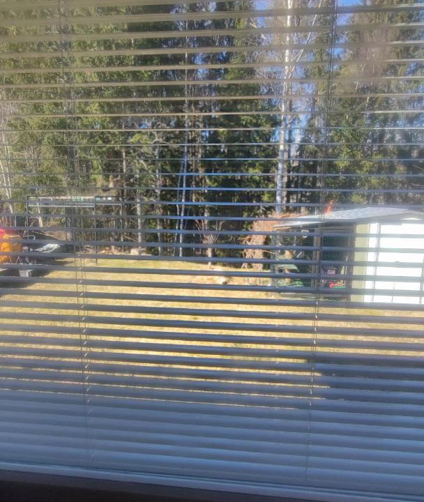 Photo of Others in Lappeenranta