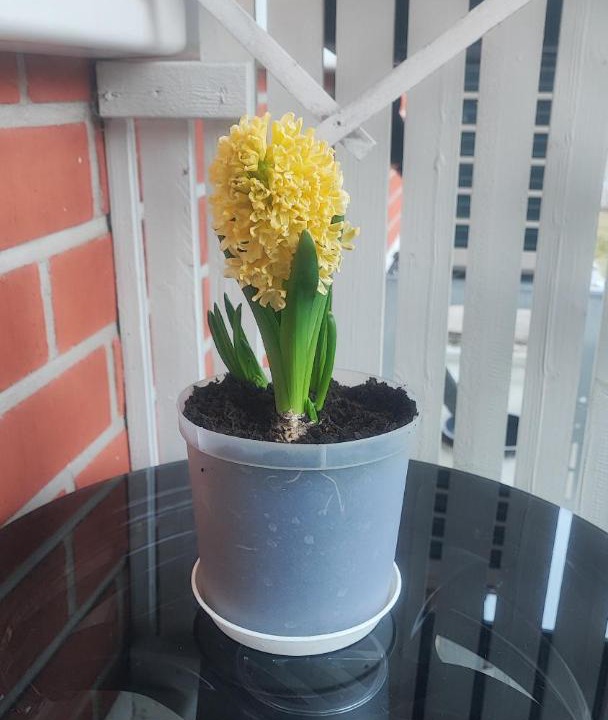 Photo of Patio Balcony in Lappeenranta