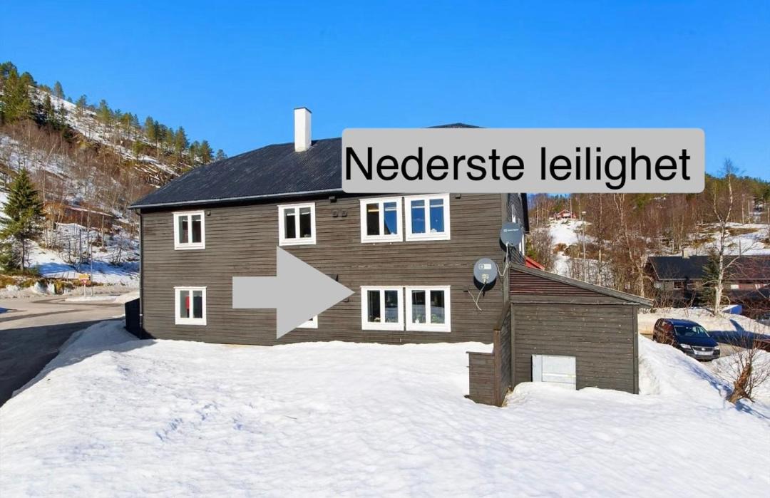 Photo of Others in Tjørhom
