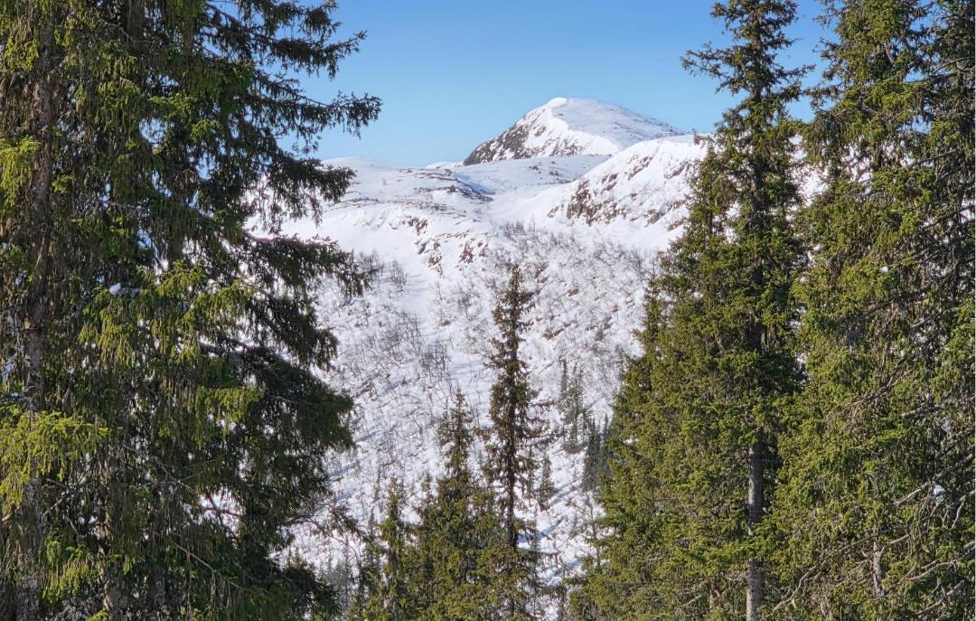 Photo of Others in Vikberget