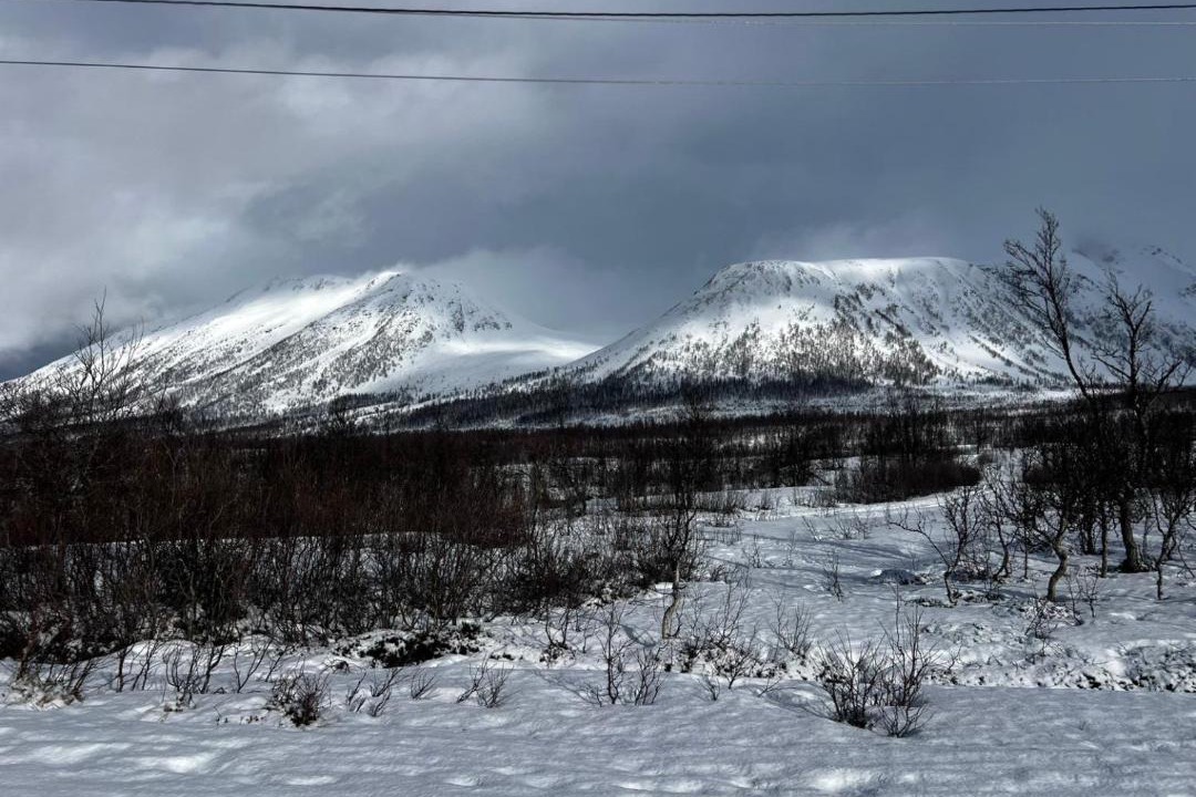 Photo of Others in Lyngen