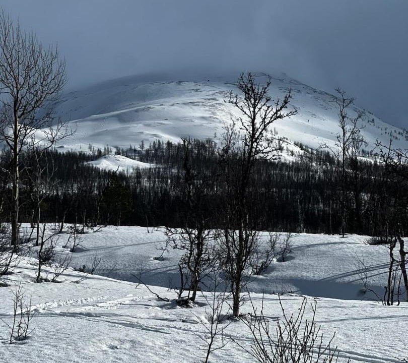 Photo of Others in Lyngen