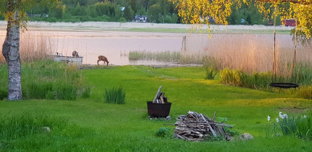 Photo of Others in Porvoo