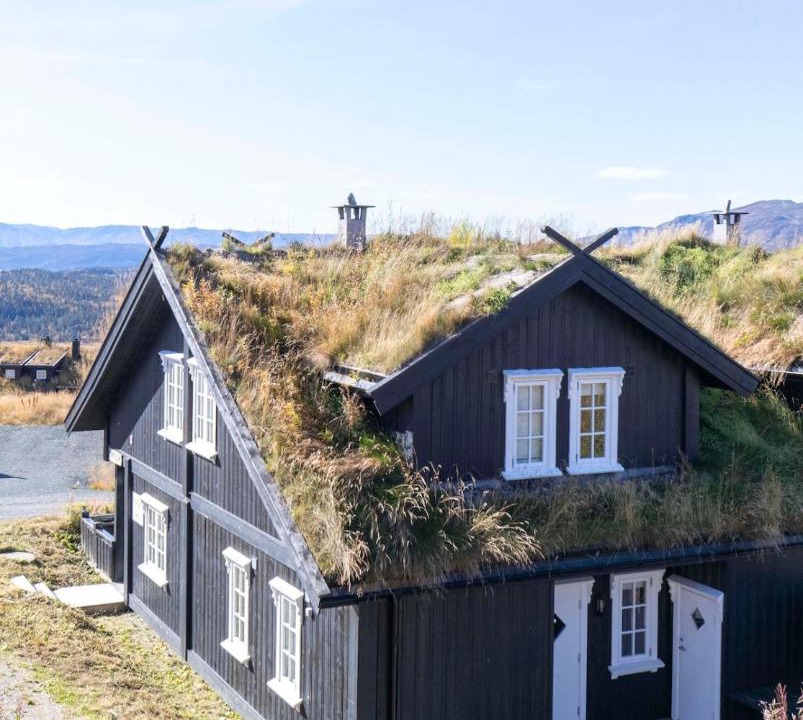 Photo of Buildings in Rauland
