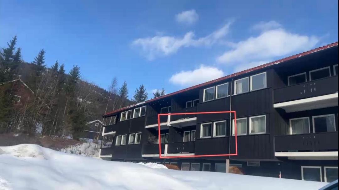 Photo of Others in Hemsedal