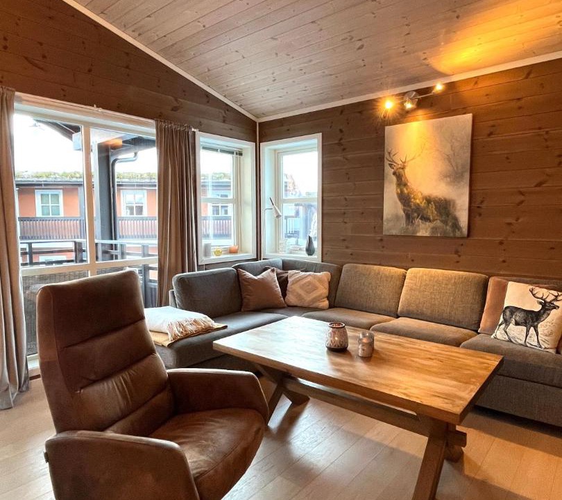 Photo of Livingroom in Myrkdalen
