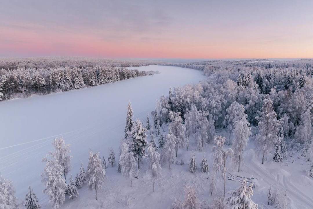 Photo of Others in Rovaniemi