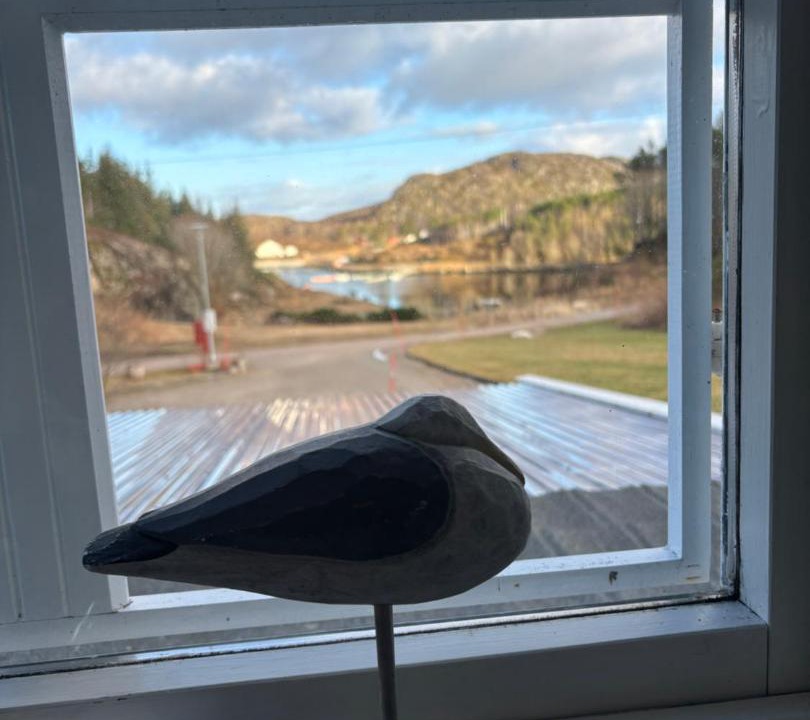 Photo of Others in Hitra