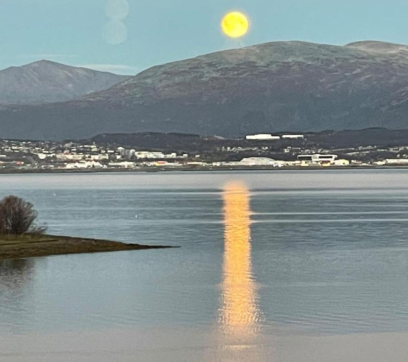 Photo of Others in Tromso