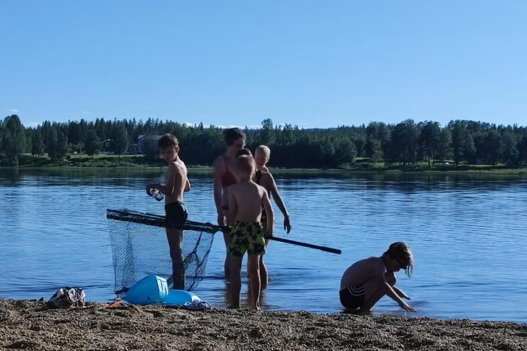 Photo of Others in Blattnicksele