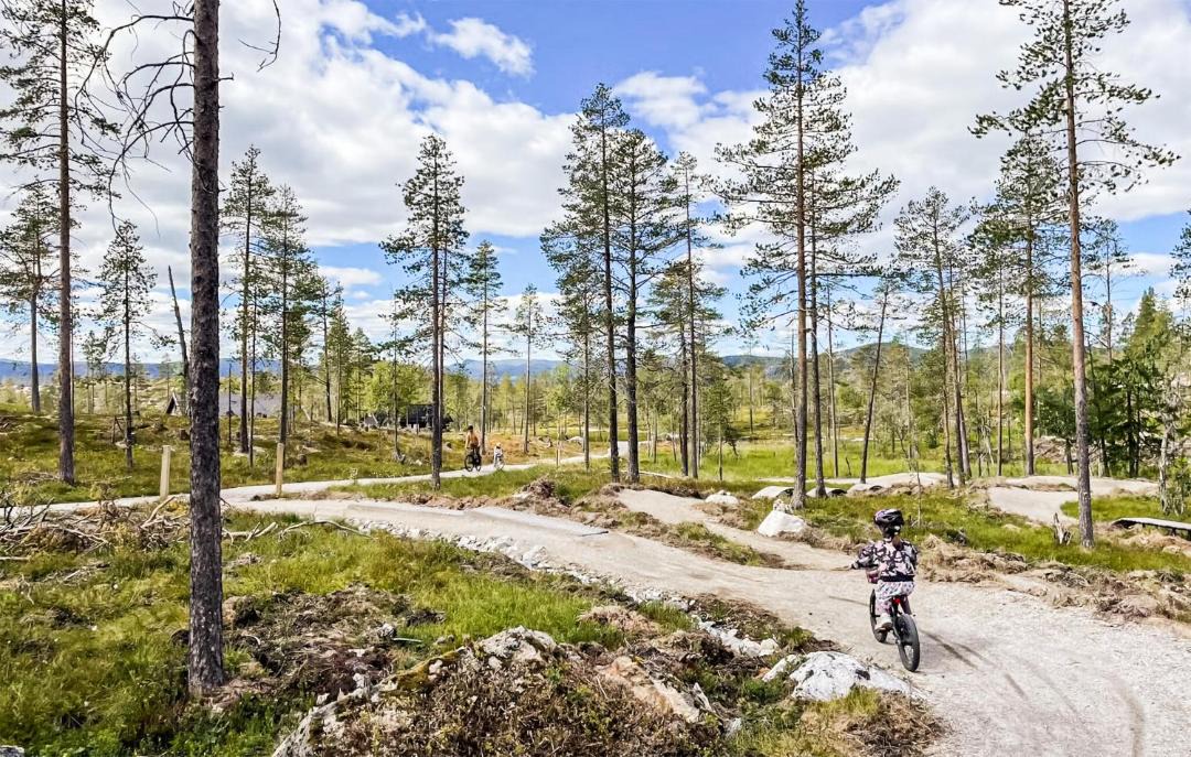 Photo of Others in Vikberget