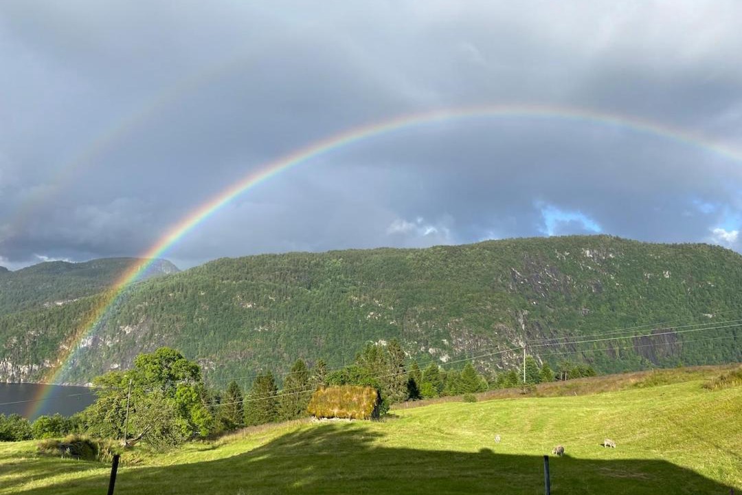 Photo of Others in Flekkefjord