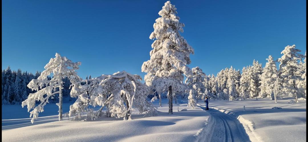 Photo of Others in Sndre Land
