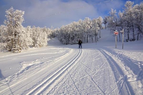 Photo of Others in Ljusnedal