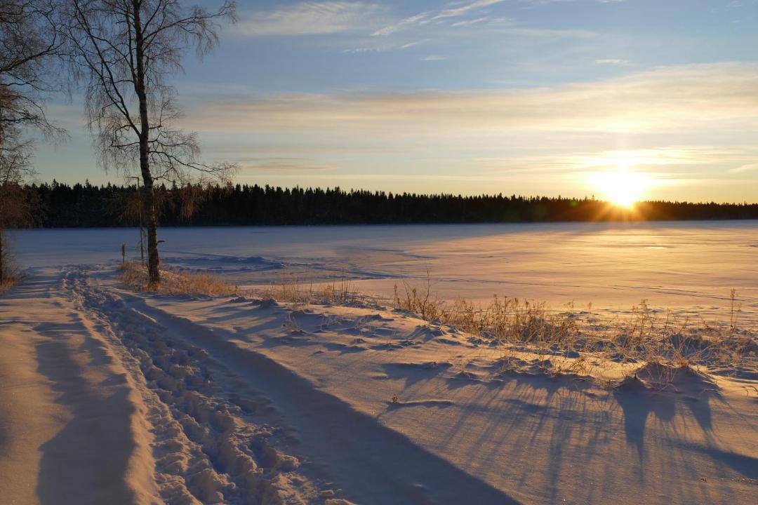 Photo of Others in Umea
