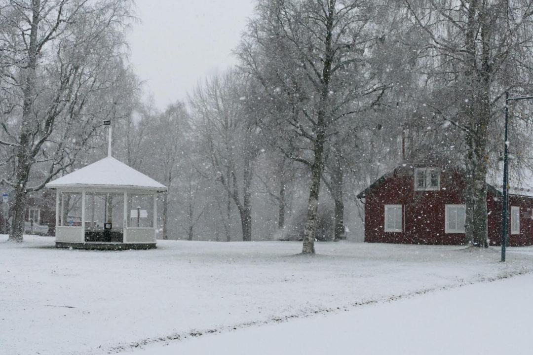 Photo of Others in Umea