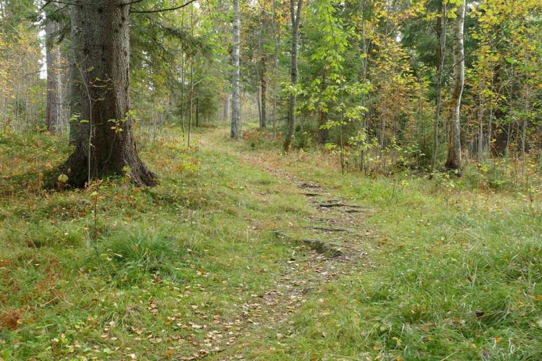 Photo of Others in Umea