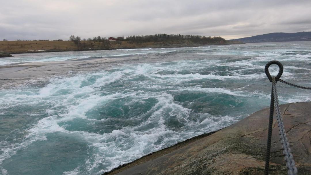 Photo of Others in Saltstraumen