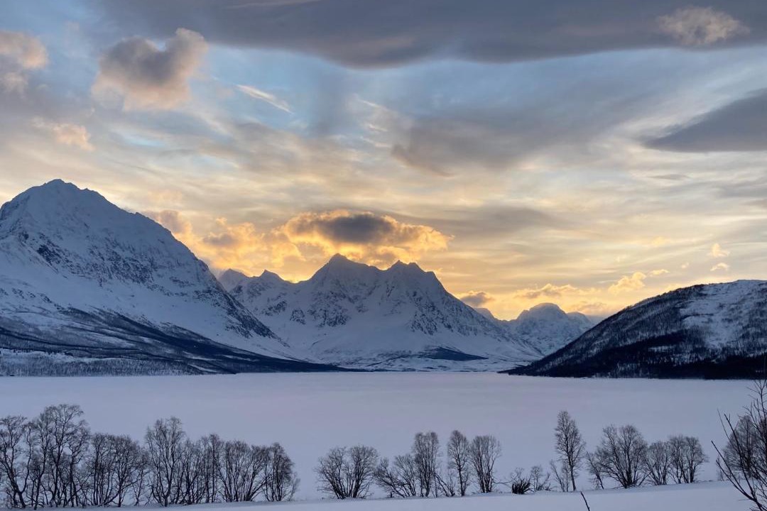 Photo of Others in Lyngen