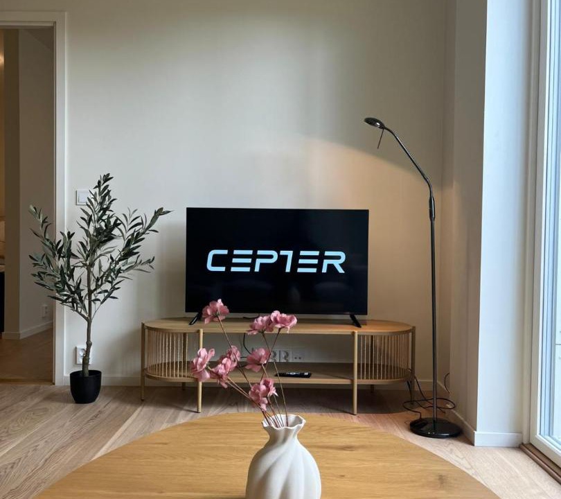 Photo of Livingroom in Voss
