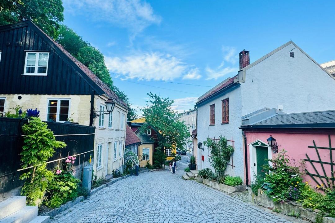 Photo of Others in Oslo City Centre