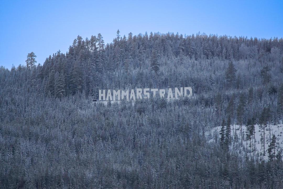 Photo of Others in Hammarstrand