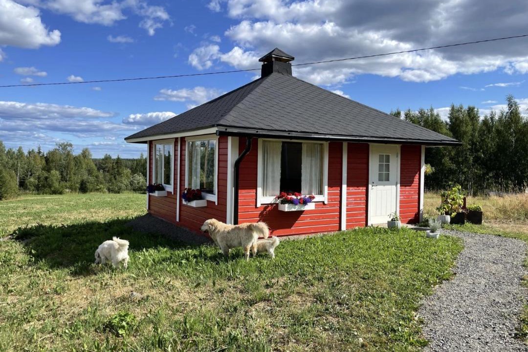 Photo of Others in Tohmajarvi