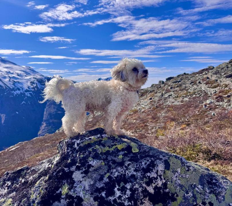 Photo of Others in Andalsnes