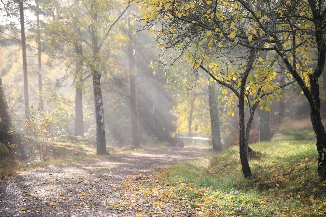 Photo of Others in Vestby