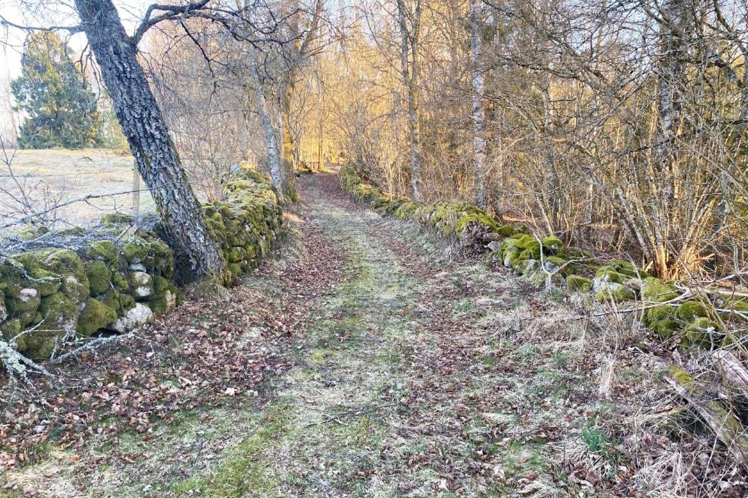 Photo of Others in Markaryd