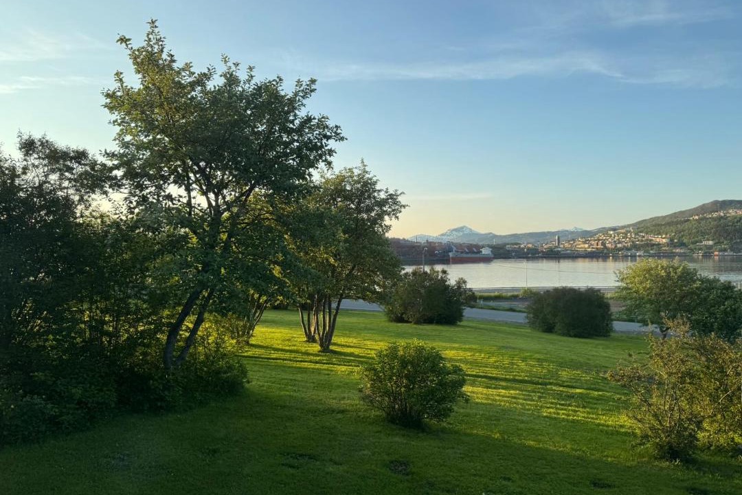 Photo of Others in Narvik