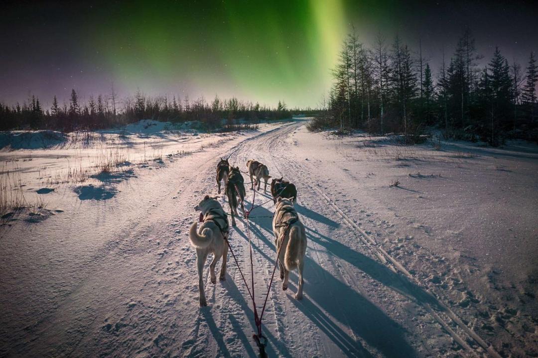 Photo of Others in Alta
