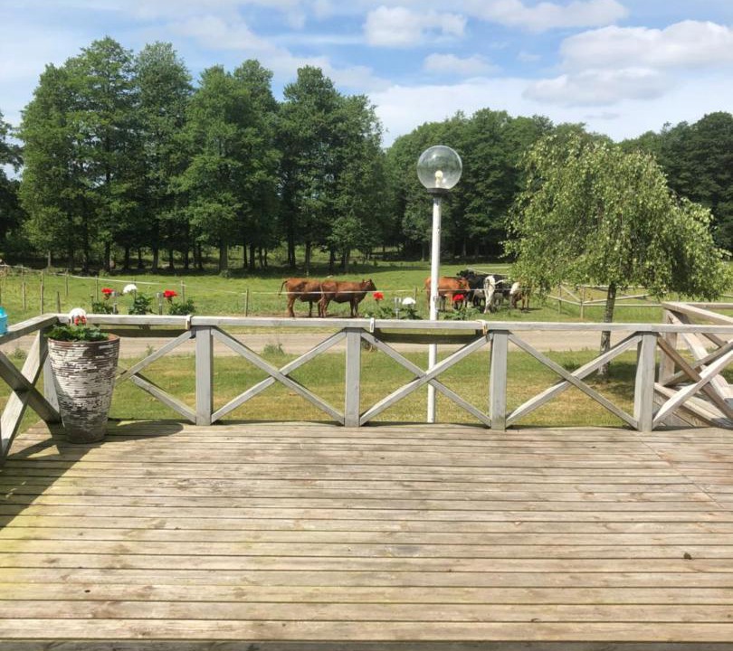 Photo of Others in Ljungby